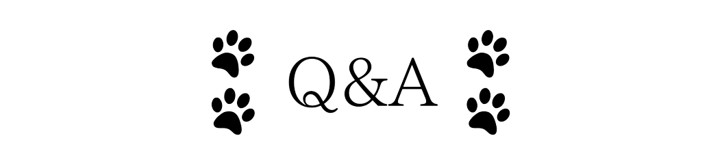 Q＆A